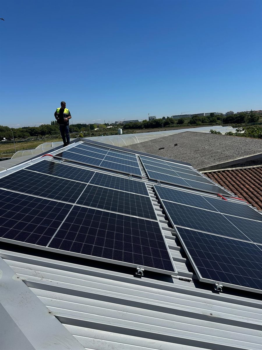 Painéis solares instalados em cobertura